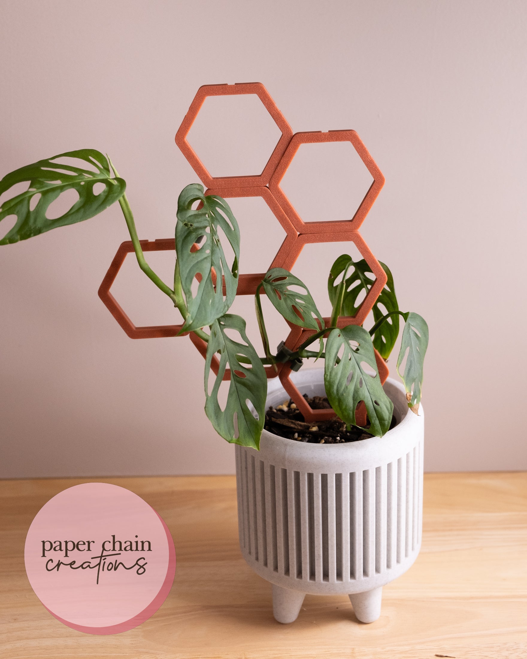 chain trellis for indoor plants Hexagon Clip Together Modular Plant Trellis – Paper Chain Creations