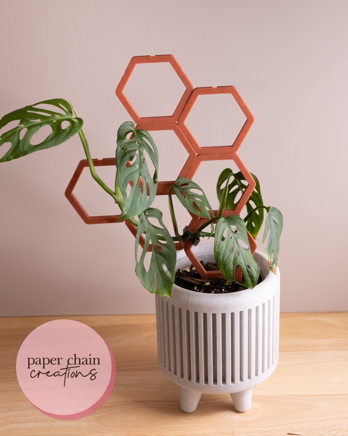 Hexagon Clip Together Modular Plant Trellis