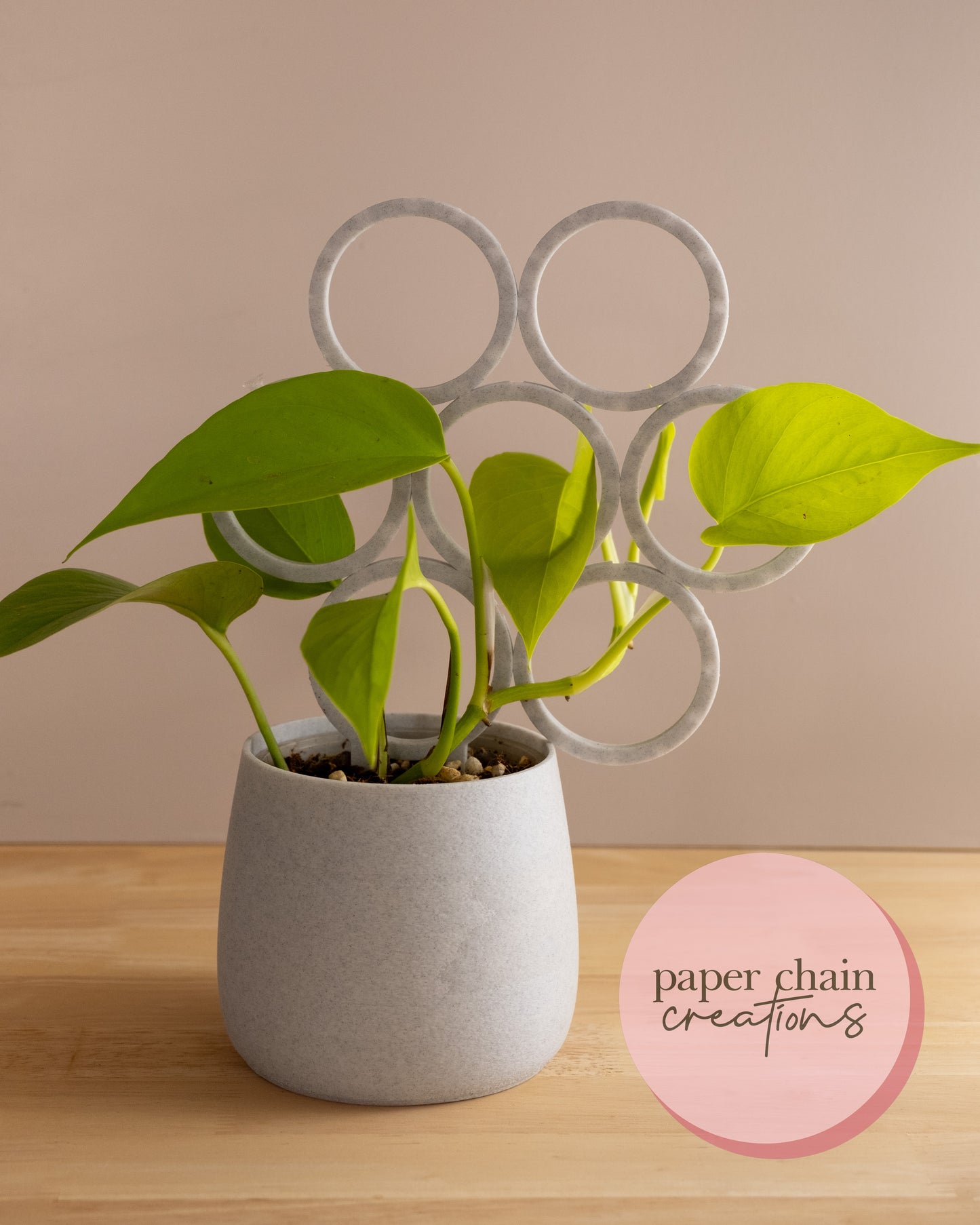 Circle Clip Together Modular Plant Trellis