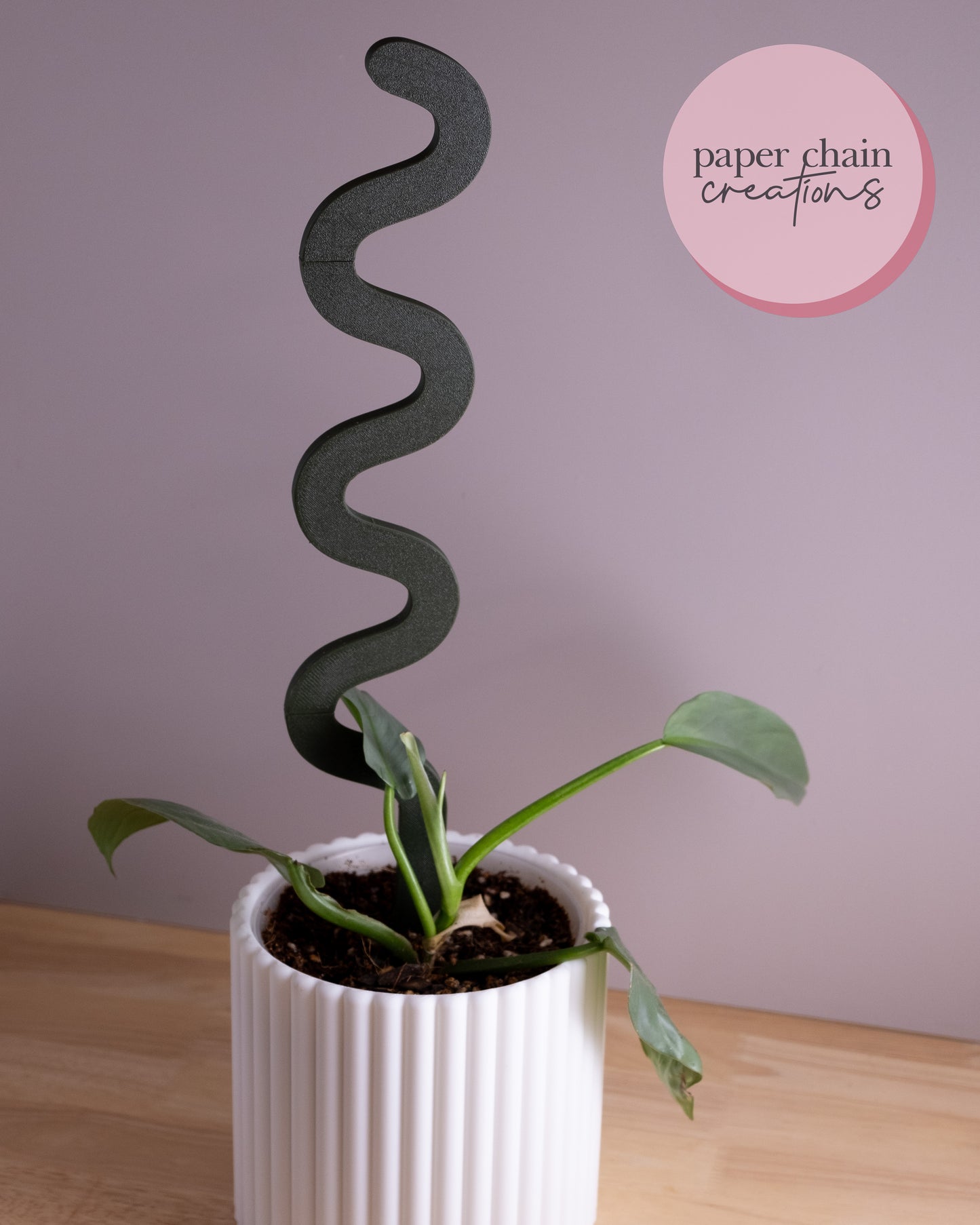 Squiggle Modular Plant Trellis